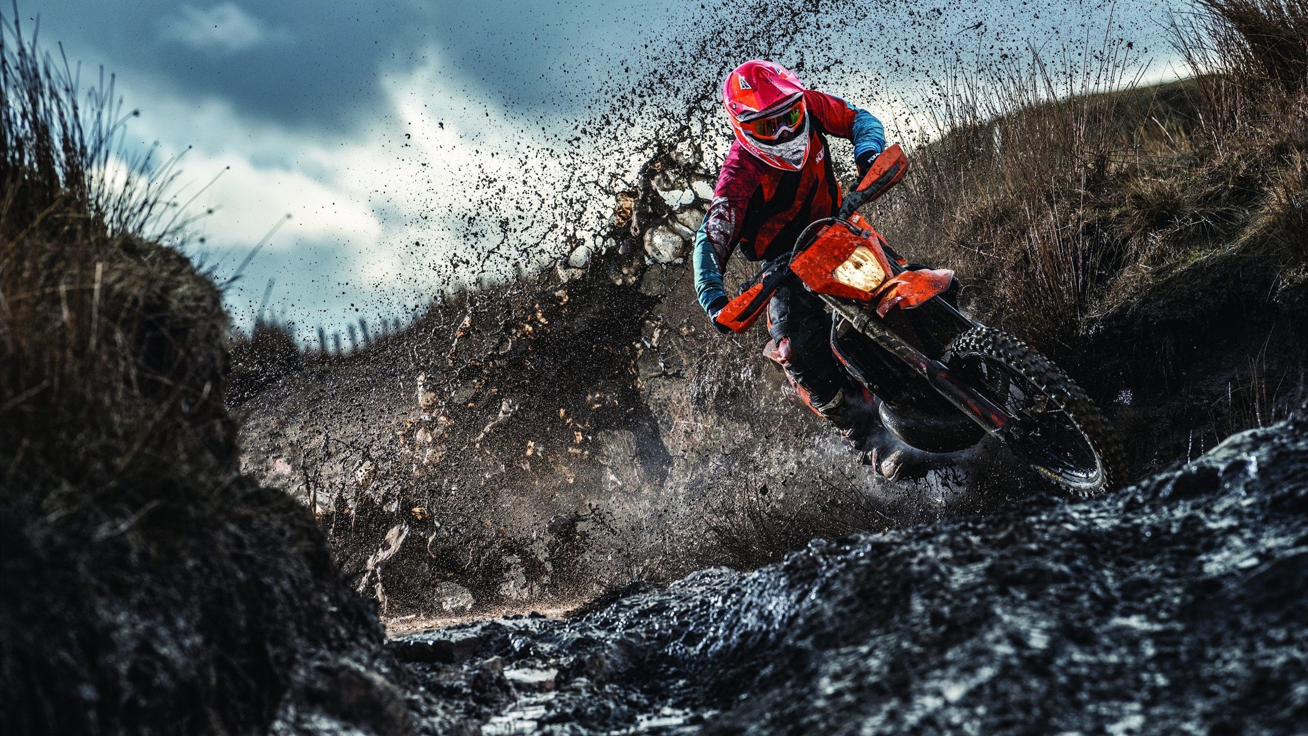 体育赛事商业模式